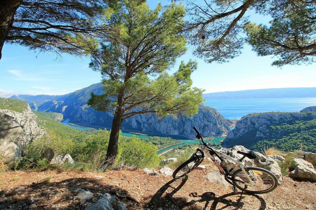 Villa Ana - 3 Bedroom Villa With Private Pool And Unspoiled Natural Environment Kučiće 외부 사진