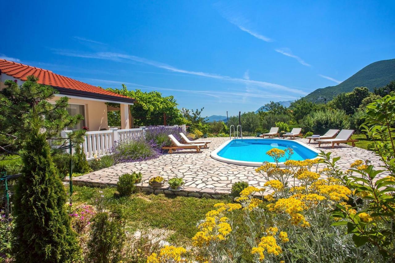 Villa Ana - 3 Bedroom Villa With Private Pool And Unspoiled Natural Environment Kučiće 외부 사진